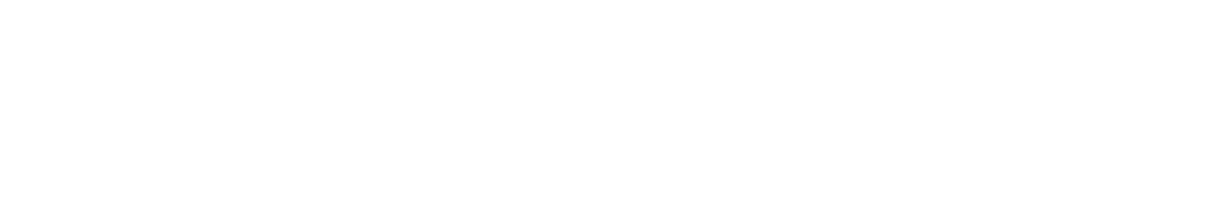 Los Cabos Whale Watching Logo